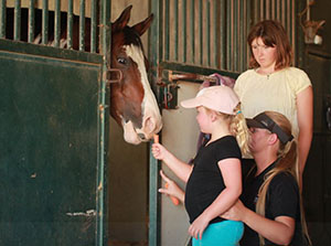 Patients feeding carrots to a horse