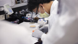 Clinical Laboratory Science, B.S. - Virtual Information Session