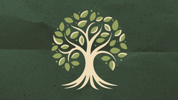 Rooted for Growth: Using Townsend's Growth Tree to Deepen Client Transformation