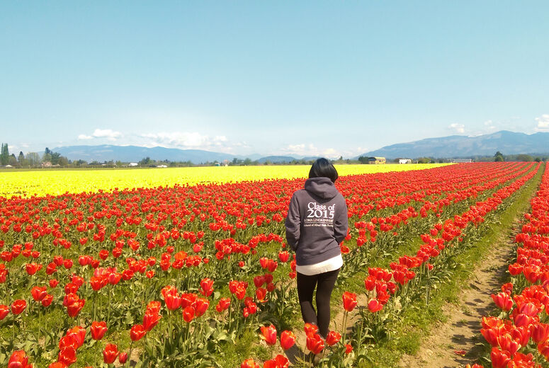 2015 1st Place Winner - Monica Fung - Sonography - Mt. Vernon, WA
