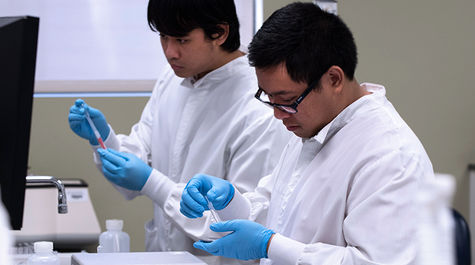 students working in a lab doing research