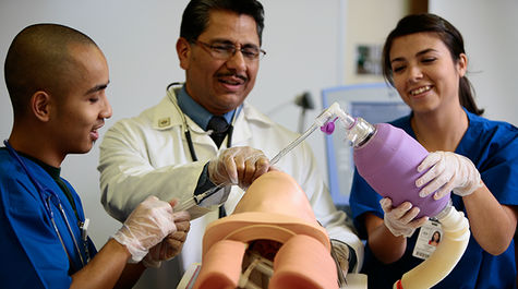 students working in a lab